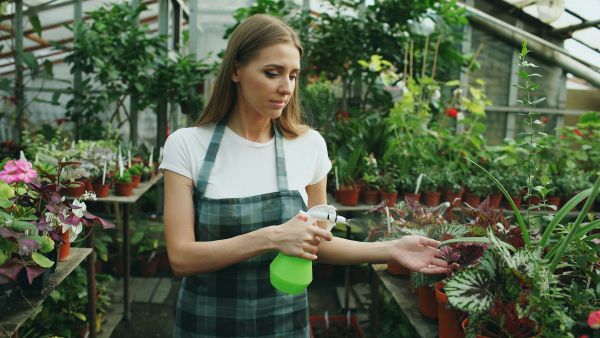 Top Resources for Identifying Plants and Tailored Care Advice